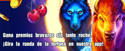 Tu jackpot te espera aquí
